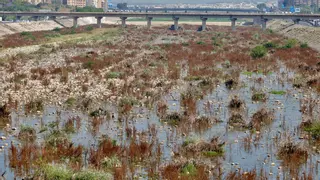 La limpieza del cauce se convierte en un pulso entre Ayuntamiento y Gobierno de España