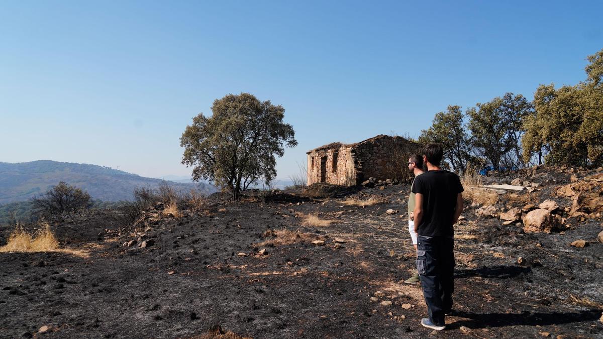 Dos jóvenes observan una de las zonas arrasadas por el fuego.