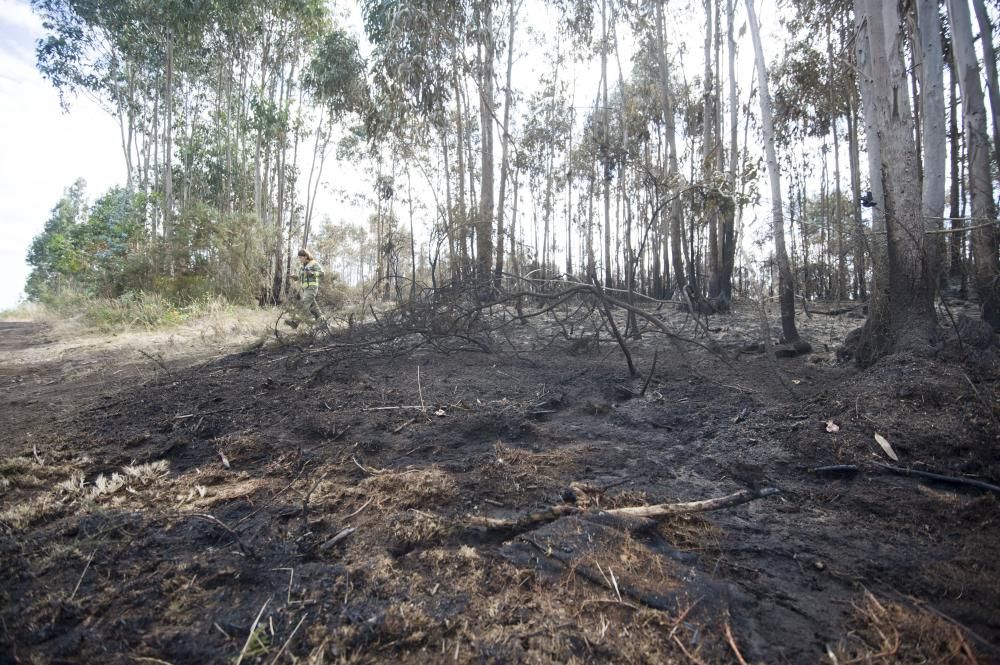 El operativo de extinción incluyó cuatro helicópteros y tres aviones y medios terrestres || Se tomó declaración a una testigo ante la sospecha de que el fuego fue provocado