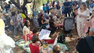 PSOE y Con Málaga cargan contra Moreno y De la Torre por la crisis de los comedores escolares