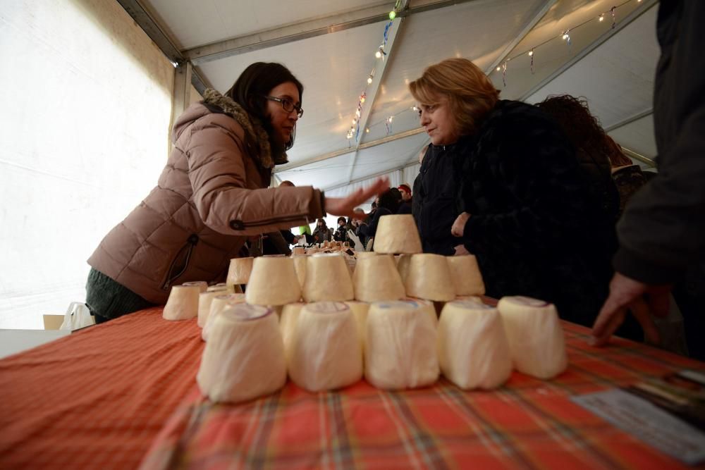 XXVII Certamen de Queso de Afuega'l Pitu en Morcín