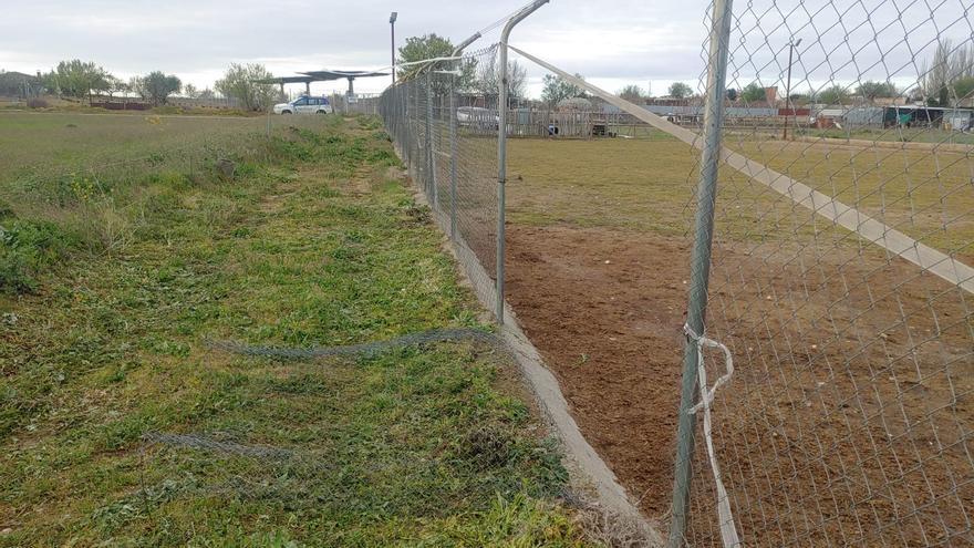 Rompen el vallado de dos fincas en Toro, de las que se escapan varios caballos