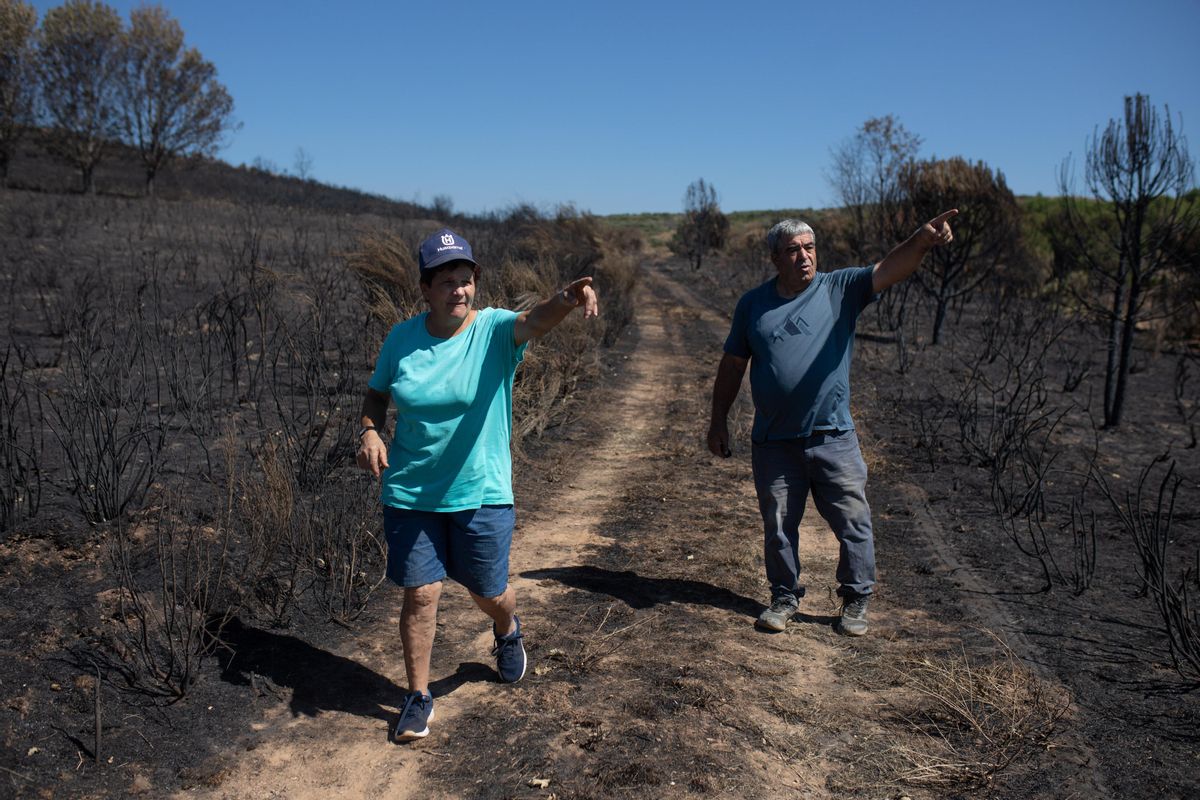 INCENDIO FORESTAL DE LOSACIO. IFLOSACIO. VECINOS QUE AYUDARON EN LA EXTINCION