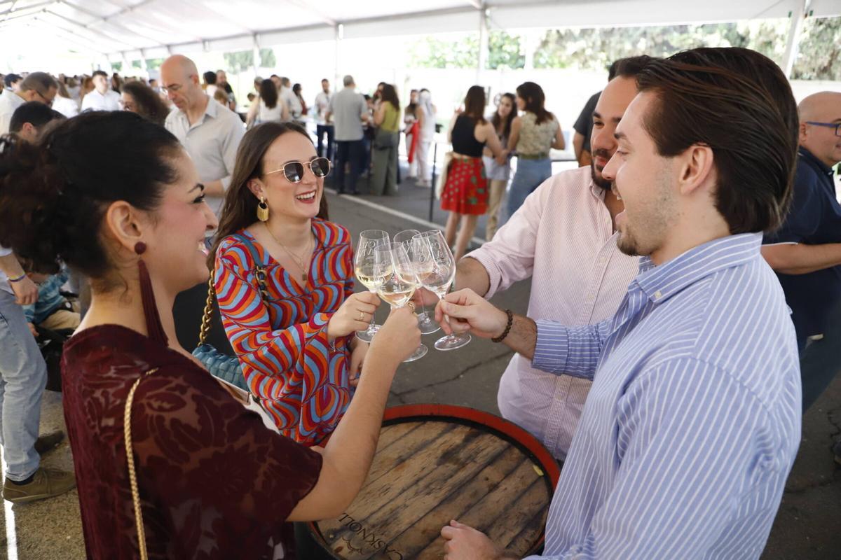 Catas de vino domingo
