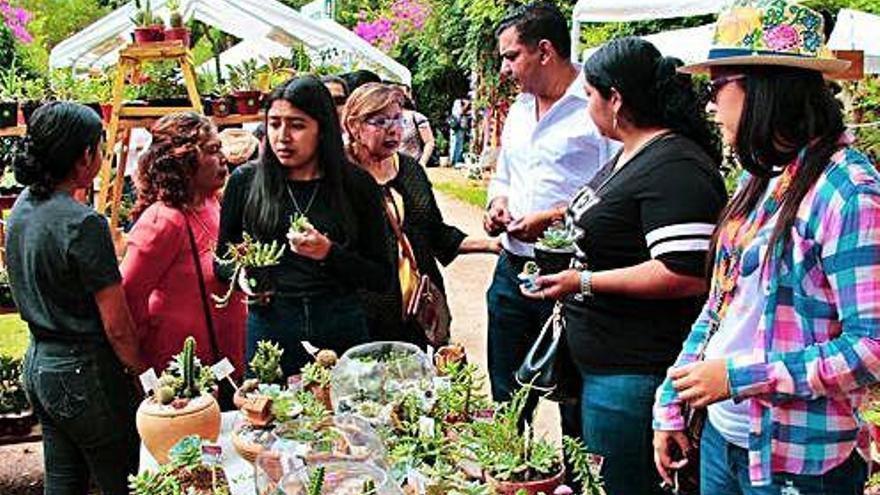 Imatges del darrer Festival de les Flors de Siguatepeque.