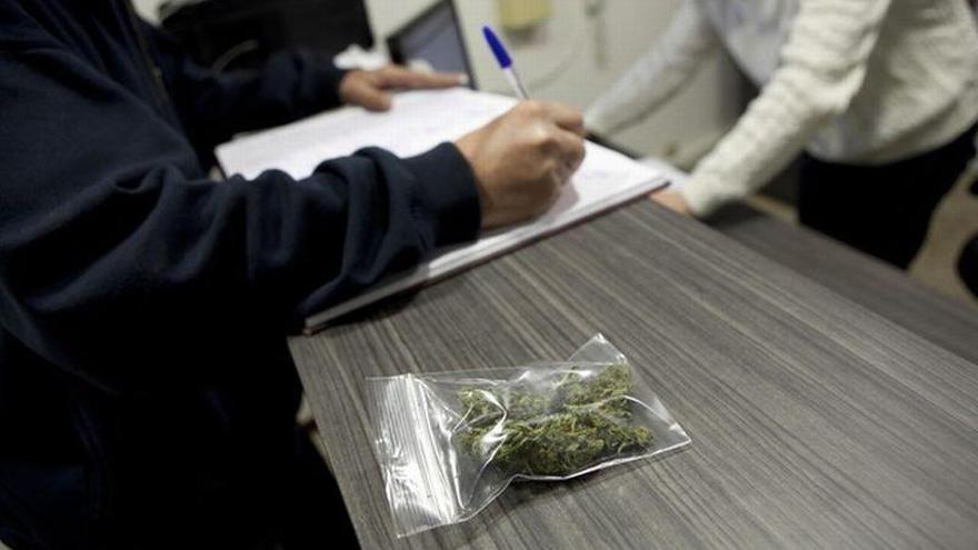 El Senado de México autoriza el uso medicinal de la marihuana