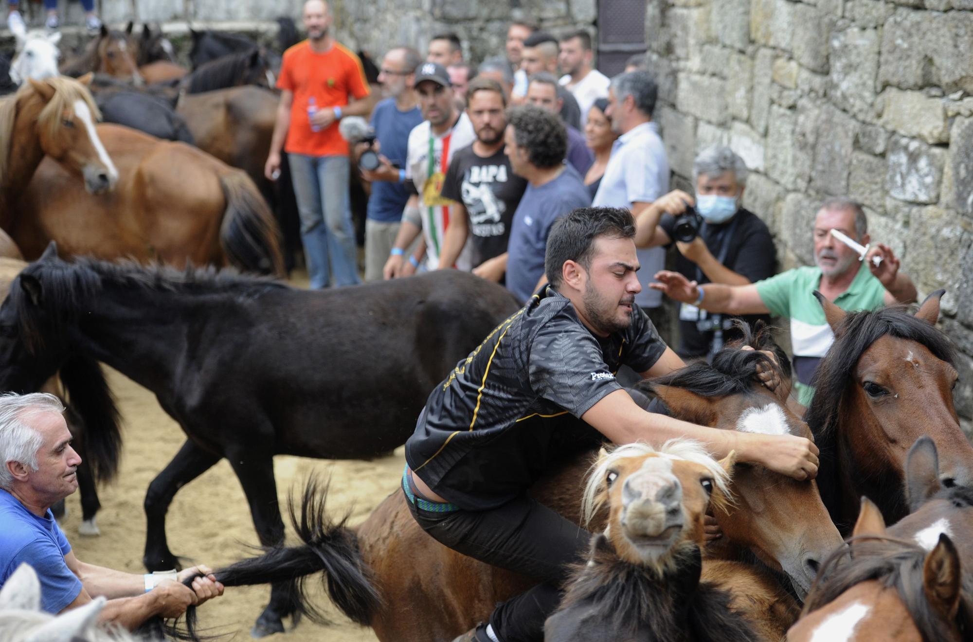 Rapa de alto voltaje en Sabucedo