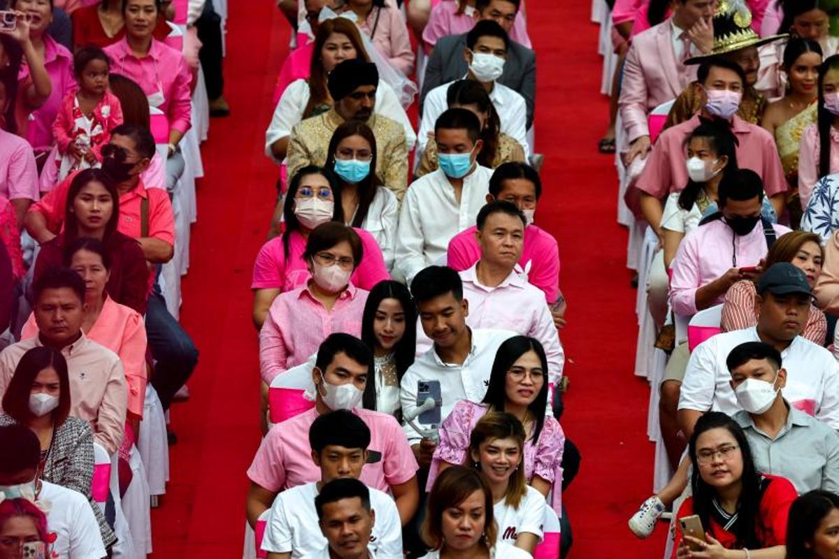 Ceremonia de firma de licencias de matrimonio en elefantes, el día de San Valentín, en el Jardín Tropical Nong Nooch en Chonburi, Tailandia