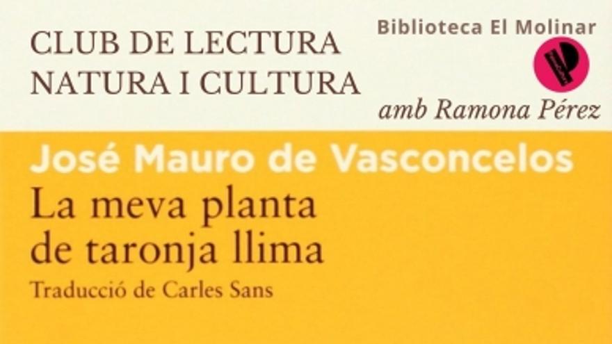 La meva planta de taronja llima, de José Mauro de Vasconcelos