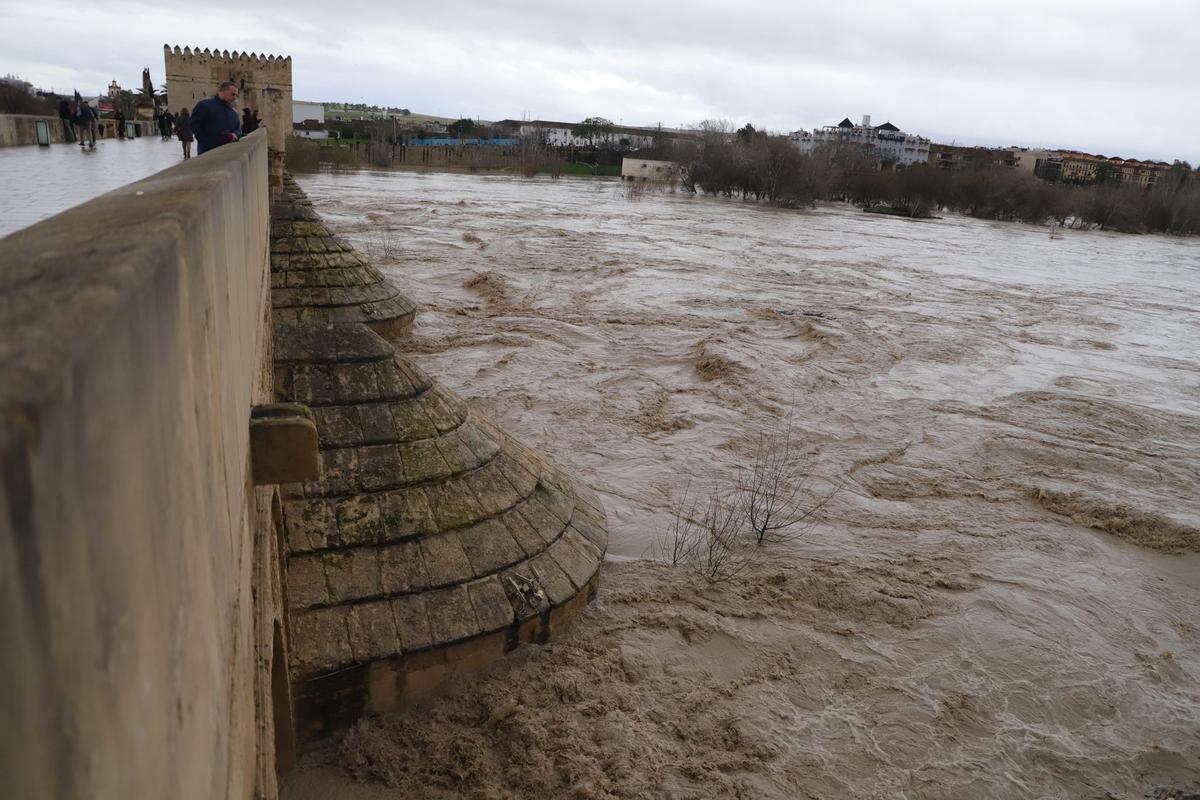 El río Guadalquivir supera los 5,5 metros a su paso por Córdoba