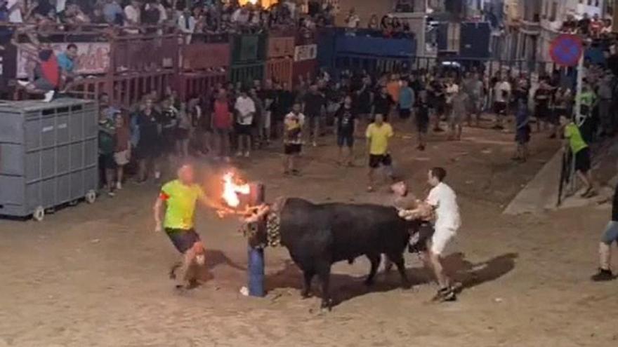 Pelea a puñetazos entre raberos por sacar a uno de los 'bous embolats' en l'Alcora