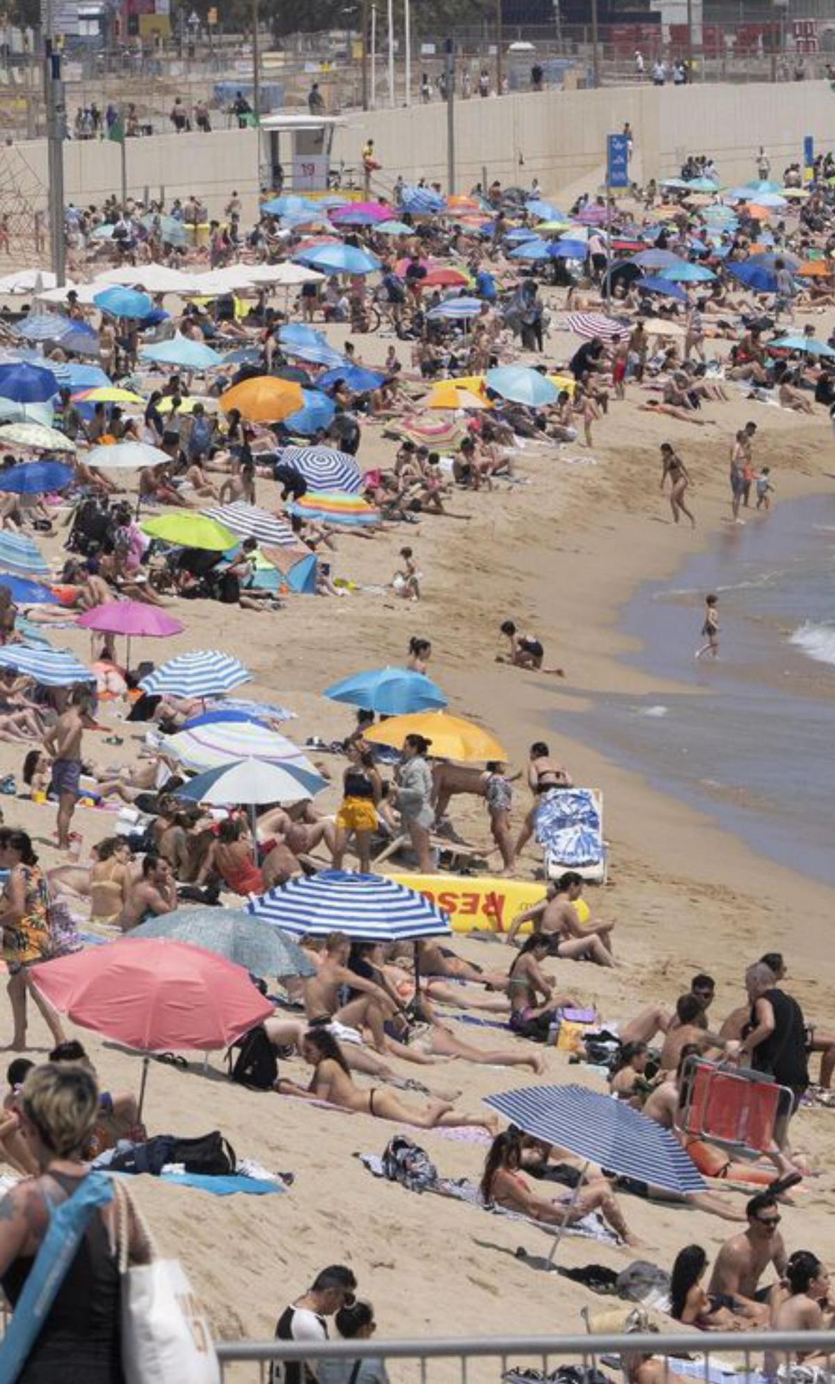 L’AMB reforça la freqüència de pas dels busos que van a les platges L’AMB reforça la freqüència de pas dels busos que van a les platges