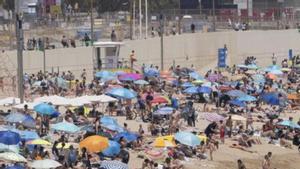 L’AMB reforça la freqüència de pas dels busos que van a les platges
