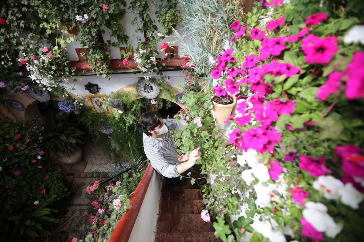 Los Patios de Córdoba: Santa Marina (2)