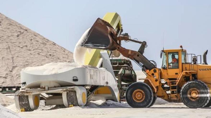 La maquinaria carga la desterronadora en la zona de garberas de sal de la multinacional salinera en Torrevieja.