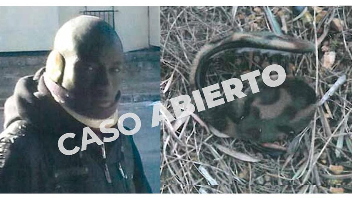 El rastro de Tidiany Coulibaly se perdió en 2013, cuando trabajaba para el mismo empresario que Ibrahima. La Guardia Civil encontró las orejeras de Coulibaly en una finca gestionada por el patrón. CASO ABIERTO