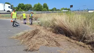 Vila-real acelera la limpieza de caminos para evitar incendios en plena ola de calor
