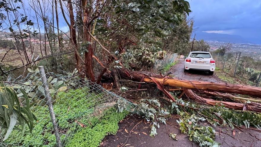 Storm Emilia: Pole, Sign, Tree Down in El Rosario