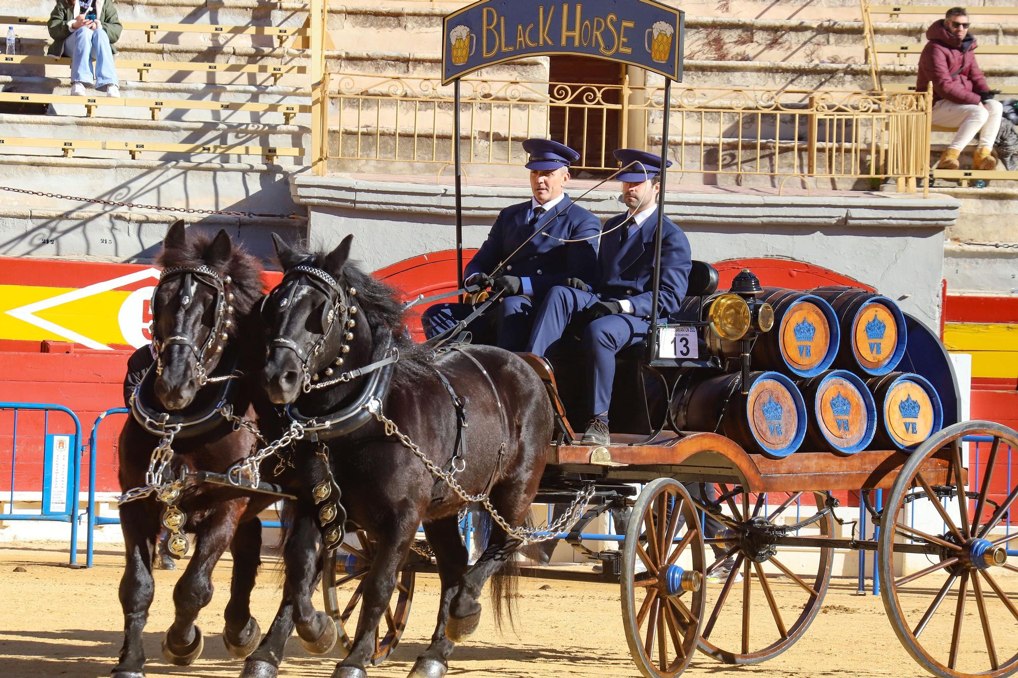 Concurso ecuestre y Bendición de animales por San Antón en Alicante