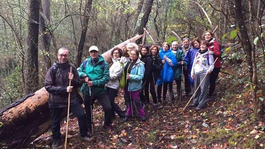 &#039;Rodeiro entre camiños&#039; pone fin a su quinta edición  |  La quinta edición de la iniciativa de Rodeiro entre camiños finalizó el domingo con una nueva caminata. Una quincena de personas realizaron la Ruta do Ouro e do Camiño Real en tierras de Quiroga. Esta fue la quinta andaina de la actividad organizada por la administración local, después de que el pasado 25 de septiembre se anulara una de las etapas debido a su coincidencia con la celebración de los comicios autonómicos. En un primer momento, el Concello pensó en poner un nuevo día para realizarla pero finalmente la ha cancelado.