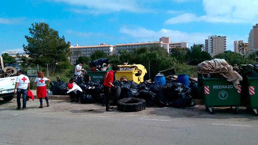 Recogen 1.820 kilos de basura en la Marina de Magaluf