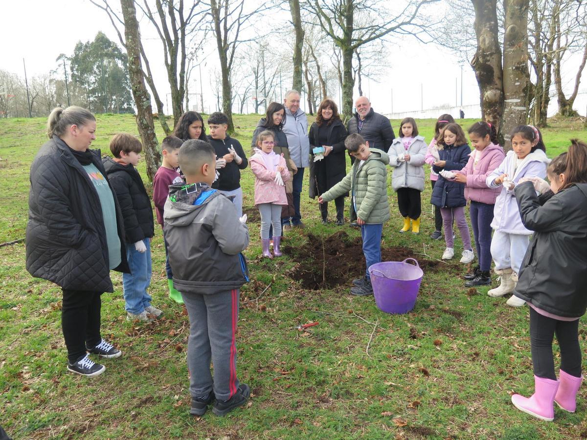 Os escolares do CEIP Alfredo Brañas de Paiosaco plantaron 39 árbores.