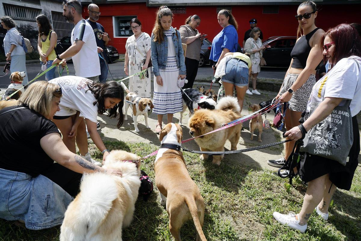 Asistentes al evento canino solidario en Castrelos