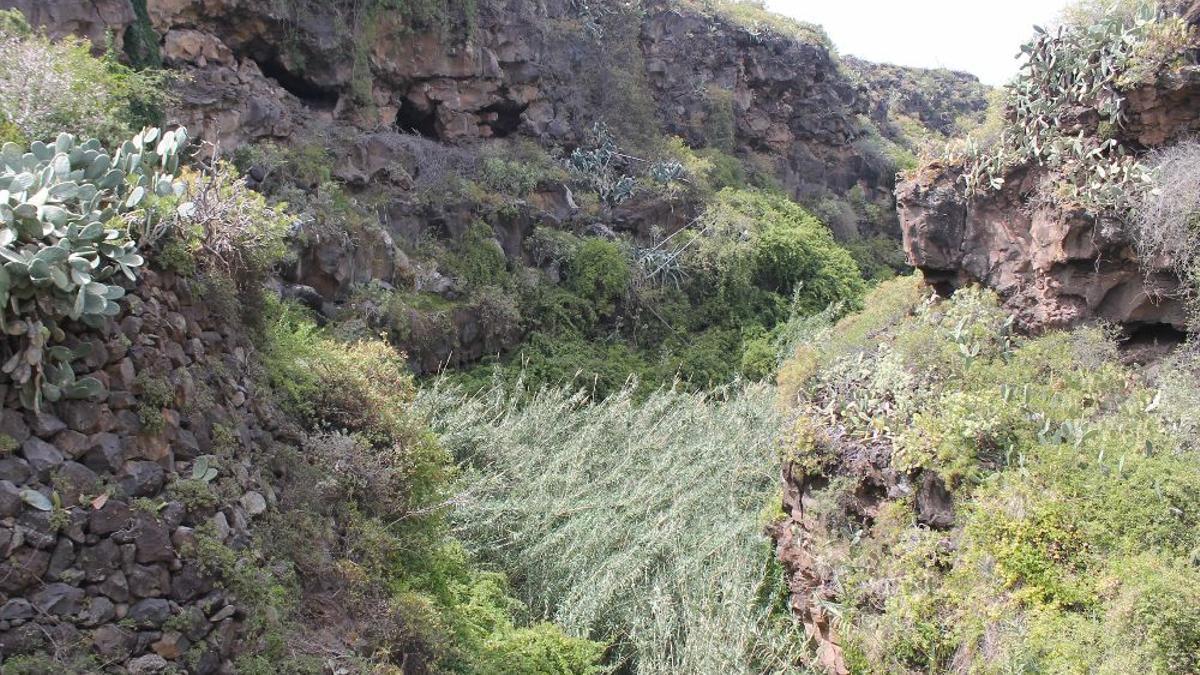 Barranco de Milán, en Tejina, La Laguna.