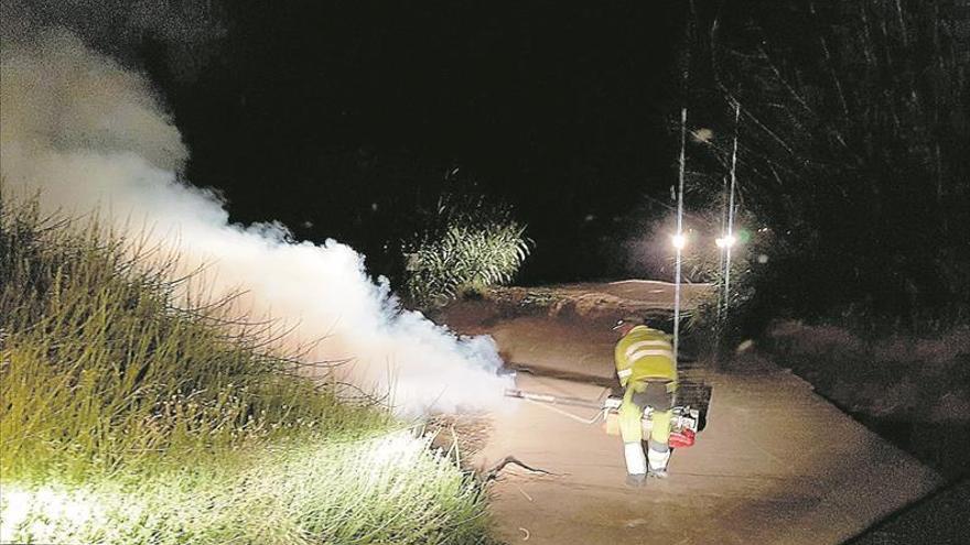 Tratamientos nocturnos y drones ante la gran eclosión del mosquito