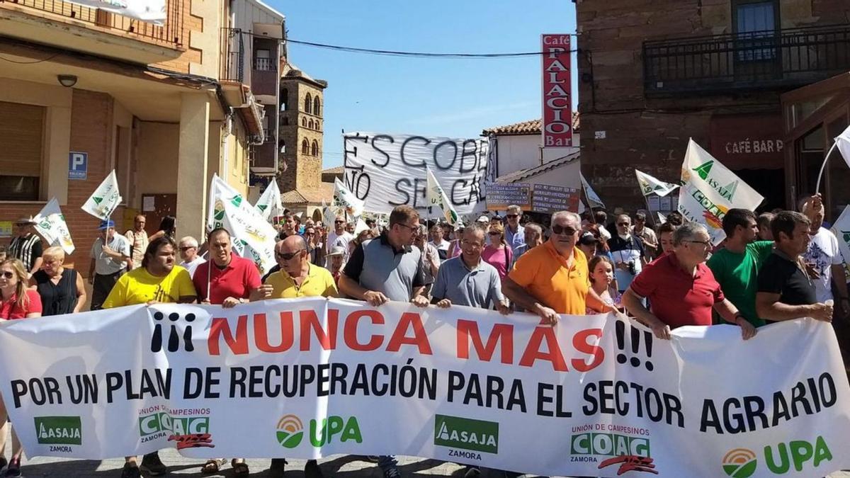 La cabecera de la manifestación llega a la Plaza Mayor de Tábara. | A. B.