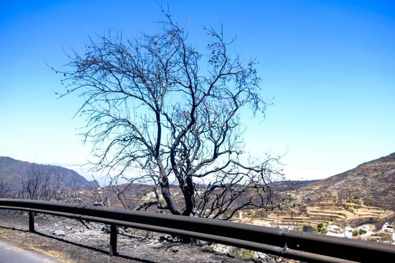 Consecuencias del incendio: De Valleseco a Artenar