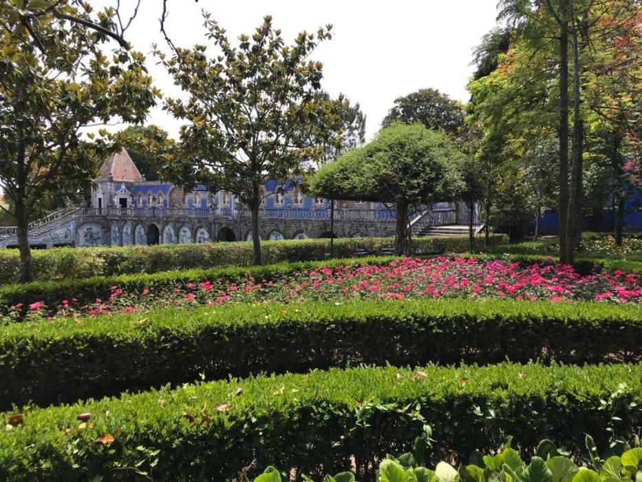 Rosa "Castell d'Alaquàs" en el palacio Fronteira de Lisboa.