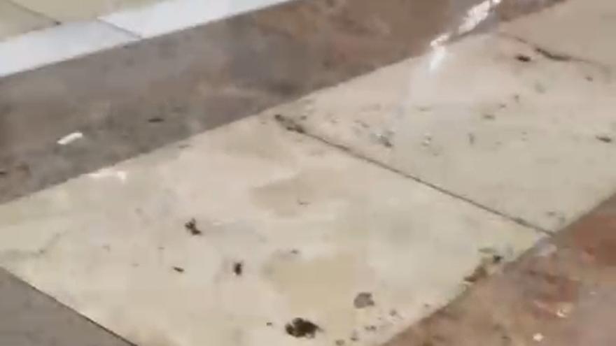 Agua en el suelo del Pedro Cerbuna de Zaragoza tras la avería de la calefacción, el pasado viernes.