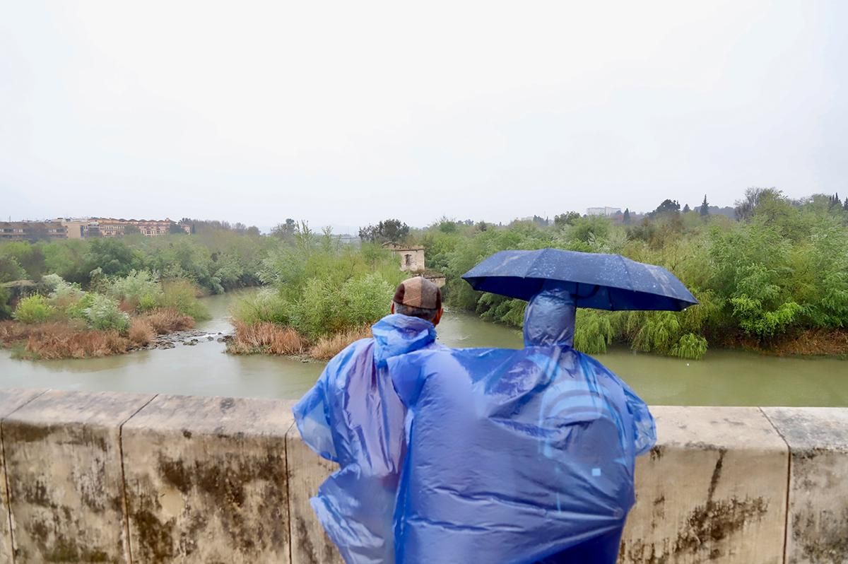 Las precipitaciones vuelven a Córdoba