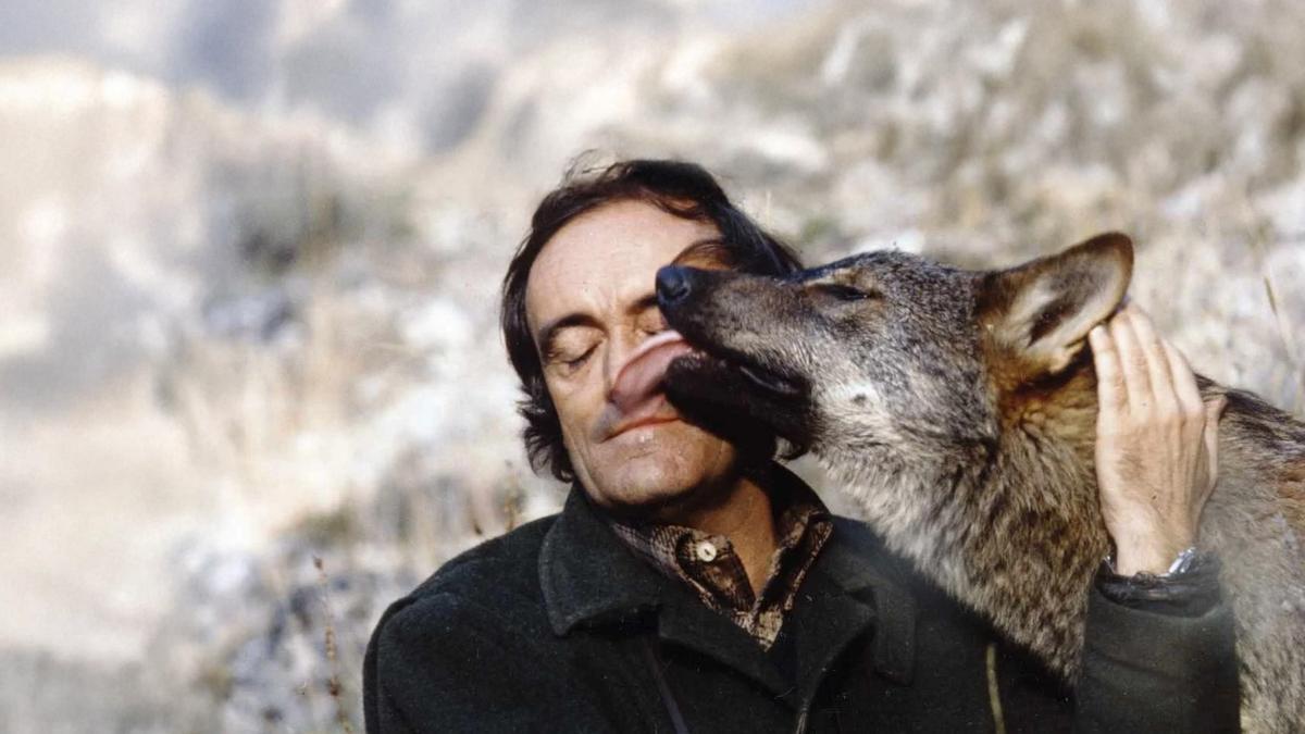 Félix Rodríguez de la Fuente aloumiña un lobo.