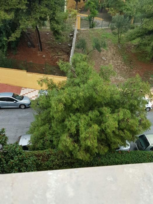 Las imágenes del temporal de lluvia en Málaga