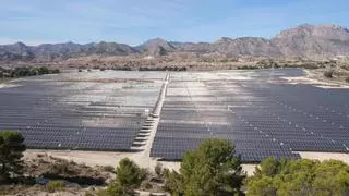 El Gobierno da luz verde a una macroplanta solar de 70 MW entre Balsares y Alicante