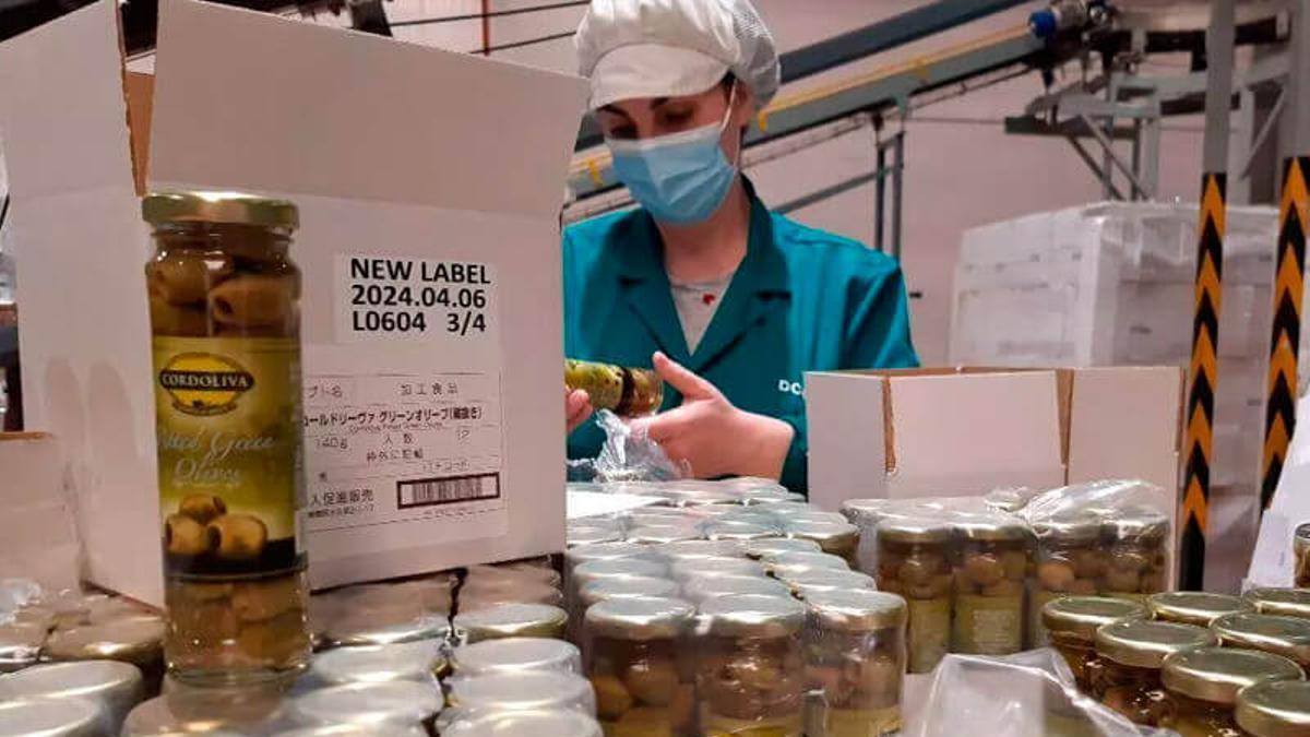 Instalaciones de envasado de aceitunas de Dcoop