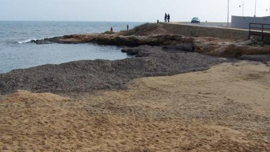 La playa de Los Náufragos gana un metro en sólo dos meses al no retirarse las algas