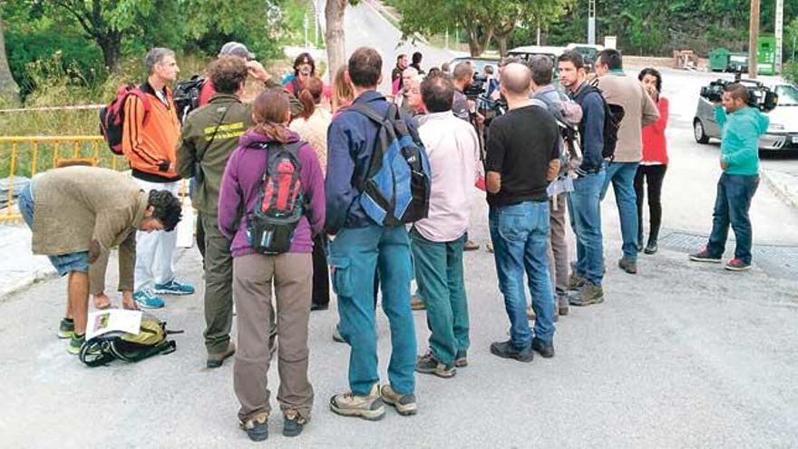 A la caza de la avispa asiática en Sóller