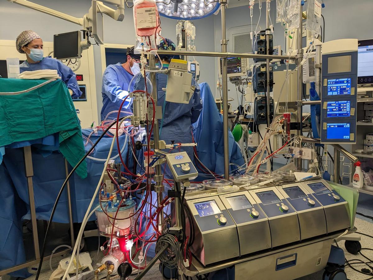 Un momento de una de las cirugías extracorpóreas realizadas recientemente en el hospital.
