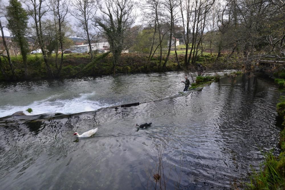 Escasas capturas en el arranque de la temporada de pesca en Pontevedra