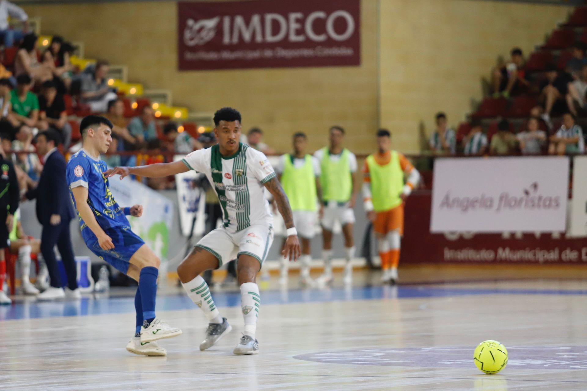 El Córdoba Futsal - Peñíscola en imágenes