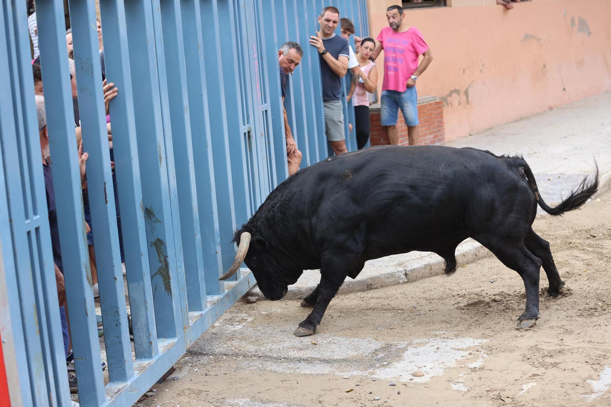 Las mejores imágenes de la jornada taurina de este miércoles en Vila-real
