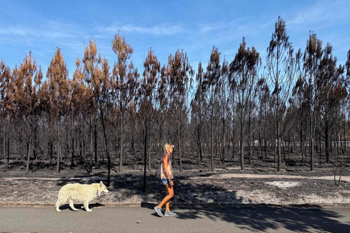 Una mujer camina con su perro junto a un bosque quemado en Andernos-les-Bains, en el suroeste de Francia.