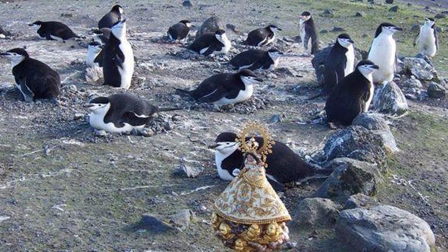 La patrona de Morella, venerada en Picassent… y hasta en la Antártida