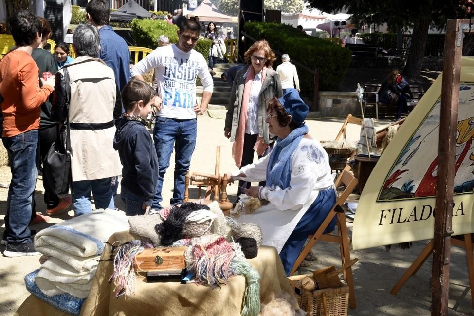 Monacàlia, fira de l''Abat a Navarcles. Jornada de diumenge