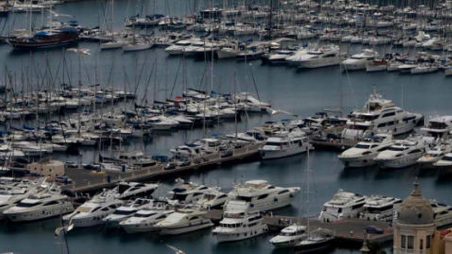 Vista de la zona deportiva del puerto de Alicante.