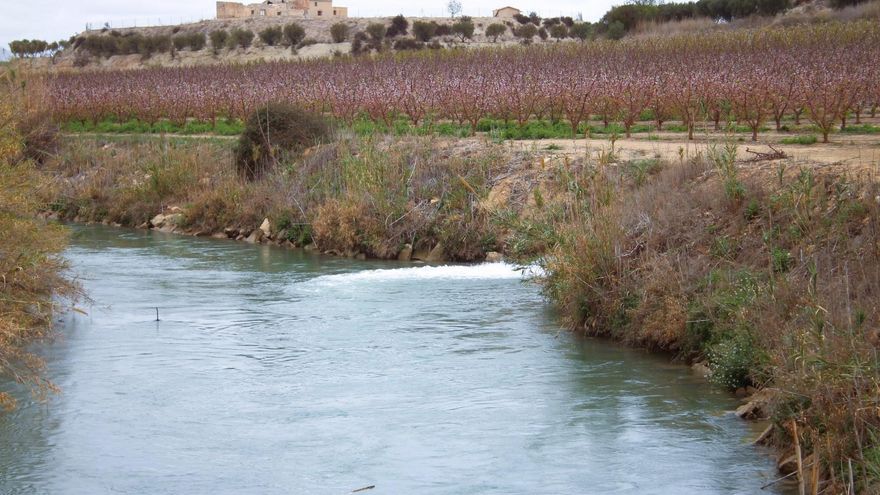La CHS publica las bases para proyectos en el área de explotación del regadío tradicional