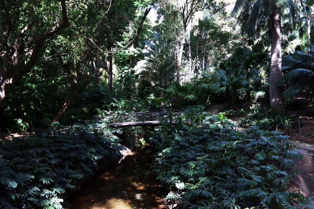 Más de cien árboles y 7.000 ejemplares nuevas plantas revitalizarán los jardines